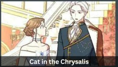 Cat in the Chrysalis